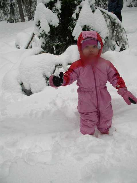 Frog Lake Snowshoe Jan 21 2005 027 
